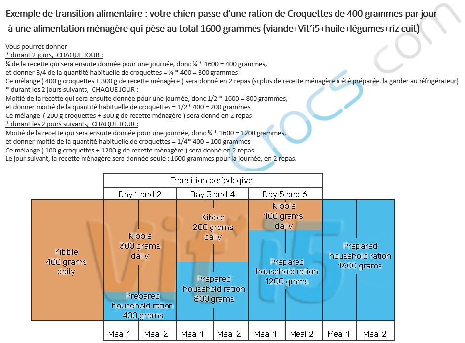 transition alimentaire pour un chien